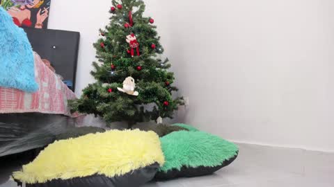 Chloe new account online show from December 11, 8:07 pm