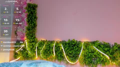 Mulan online show from March 5, 3:29 pm