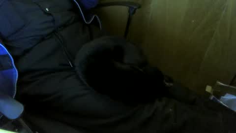 Snapshot of muller520 chatting on October 29, 1:57 pm muller520 online show from October 29, 1:57 pm