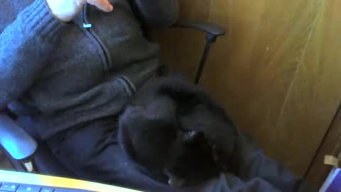 Snapshot of muller520 chatting on April 13, 3:50 pm muller520 online show from April 13, 3:50 pm