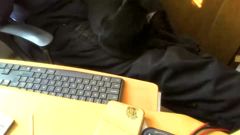 Snapshot of muller520 chatting on April 28, 2:33 pm muller520 online show from April 28, 2:33 pm