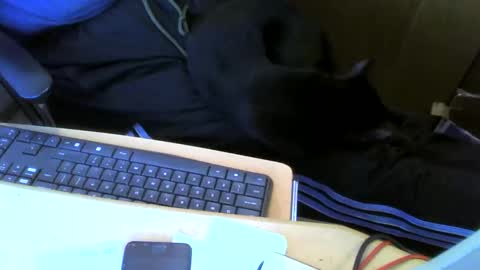 Snapshot of muller520 chatting on May 13, 2:58 pm muller520 online show from May 13, 2:58 pm