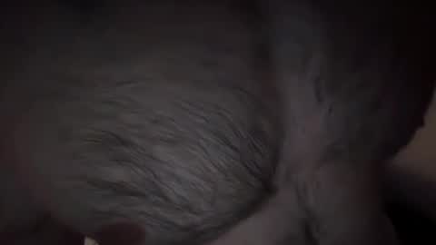 Snapshot of musclehair3 chatting on February 14, 9:53 pm musclehair3 online show from February 14, 9:53 pm