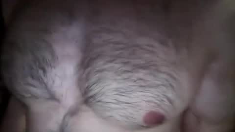 Snapshot of musclehair3 chatting on February 26, 8:22 pm musclehair3 online show from February 26, 8:22 pm