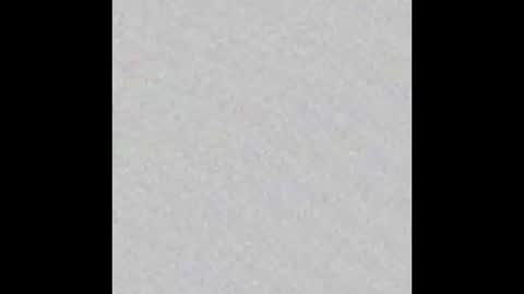 ghost mantis online show from March 2, 10:05 pm