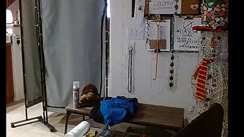 Snapshot of mycock4u247 chatting on December 25, 10:50 am LA MARIPOSA DE MARICOPA online show from December 25, 10:50 am