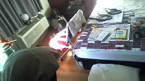 LA MARIPOSA DE MARICOPA online show from November 30, 3:16 pm