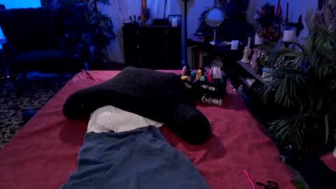 Jade Nyxxx online show from September 23, 4:26 am