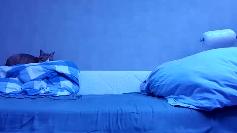 Snapshot of n3philim999 chatting on October 12, 10:09 pm n3philim999 online show from October 12, 10:09 pm