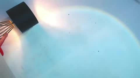 yannah online show from January 15, 1:37 pm