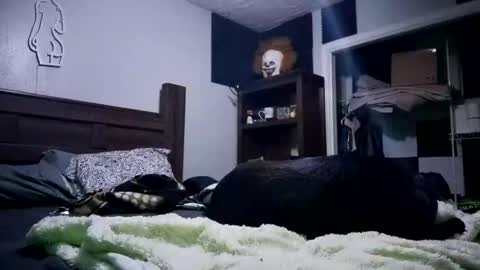 Snapshot of nackjamesontag69 chatting on February 7, 9:35 am nackjamesontag69 online show from February 7, 9:35 am