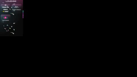   SHELBY   online show from December 2, 12:10 pm