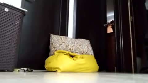 Snapshot of nak3d_lif3 chatting on March 23, 1:37 pm nak3d_lif3 online show from March 23, 1:37 pm