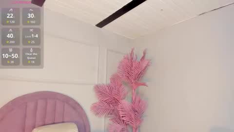 nalapalmer online show from March 23, 7:51 pm