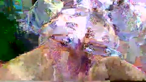 nano527 online show from February 12, 7:25 am