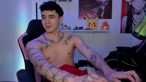Snapshot of naranjo_seb chatting on December 31, 1:19 pm sebastian online show from December 31, 1:19 pm