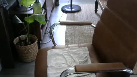 Snapshot of nareth338 chatting on September 19, 8:42 pm nareth338 online show from September 19, 8:42 pm