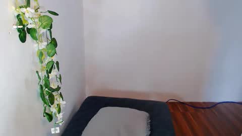 nashdiam online show from November 30, 7:23 am