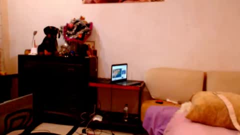natali online show from December 24, 6:50 pm