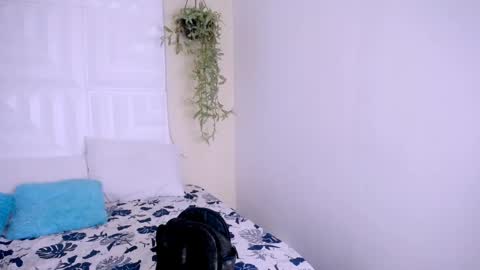 Snapshot of nataly_mcry chatting on April 25, 5:21 pm NATALY online show from April 25, 5:21 pm