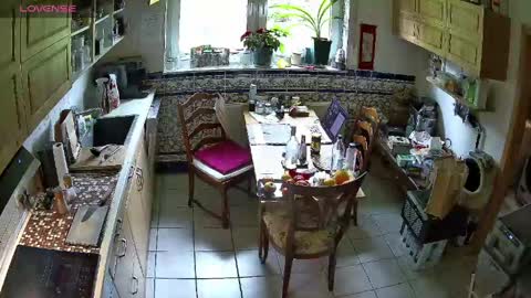 Snapshot of nature_x chatting on April 16, 10:27 am Nature online show from April 16, 10:27 am