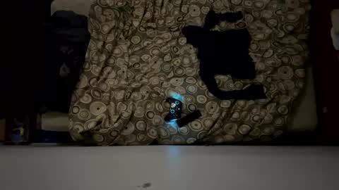 Snapshot of naughty6toy chatting on February 17, 5:26 am naughty6toy online show from February 17, 5:26 am