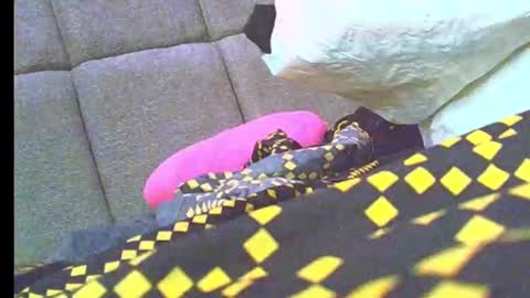 Snapshot of naughty_bitch0 chatting on January 19, 12:14 am Jasmin online show from January 19, 12:14 am