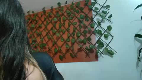 Kitten online show from April 15, 11:28 am