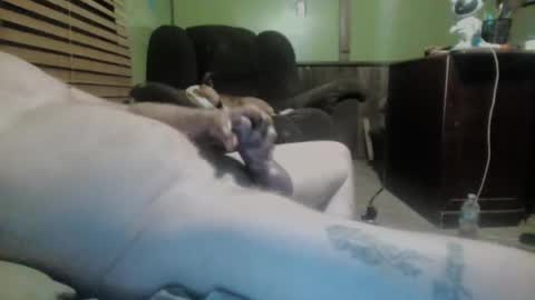 Snapshot of ned_is_naughty chatting on March 7, 10:24 am ned is naughty online show from March 7, 10:24 am