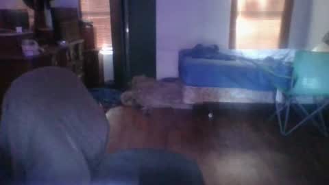 Snapshot of ned_is_naughty chatting on June 24, 12:31 am ned is naughty online show from June 24, 12:31 am
