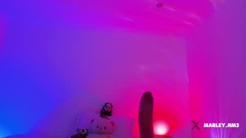 xd online show from December 14, 10:25 pm