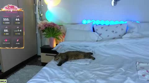 never give up  online show from March 17, 12:08 pm