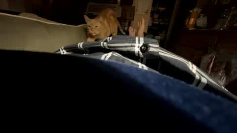 ngianop online show from October 23, 7:40 am