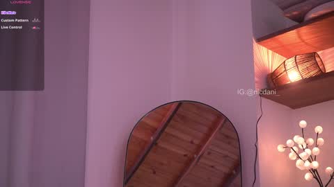 Snapshot of nicdani_1 chatting on January 11, 9:25 pm Dani 3 online show from January 11, 9:25 pm