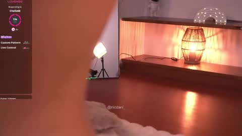 Snapshot of nicdani_1 chatting on February 24, 8:17 am Dani 3 online show from February 24, 8:17 am