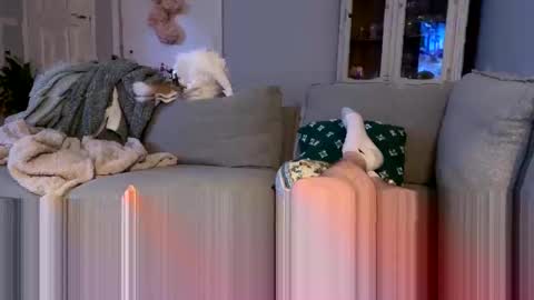 niceguy36963 online show from May 11, 3:23 am