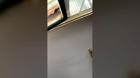 Snapshot of nicholaastavrou1977066464511s chatting on January 17, 5:23 am nick stavrou online show from January 17, 5:23 am