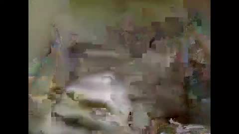 Snapshot of nickvtx chatting on January 5, 2:08 pm Nick online show from January 5, 2:08 pm