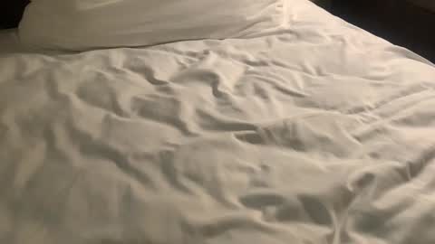 Snapshot of nickzoos3 chatting on January 29, 9:55 am Nick Zoos online show from January 29, 9:55 am