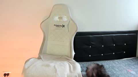 Nicol online show from December 19, 7:32 pm