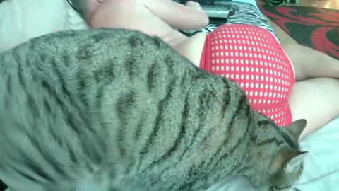 MikeVanDyck online show from May 26, 6:26 pm