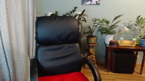 Nika online show from December 10, 3:55 pm