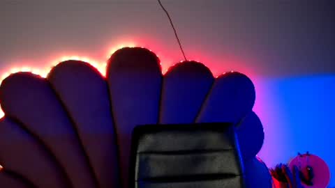    online show from January 9, 11:45 pm