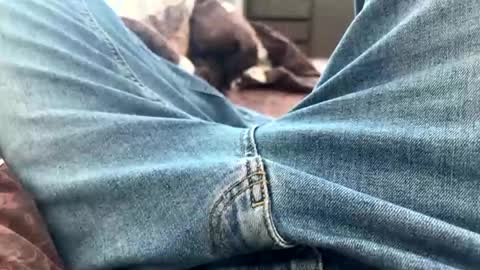 Snapshot of nikk3032 chatting on February 25, 10:47 am NIk online show from February 25, 10:47 am