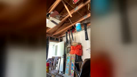 Snapshot of nikkietwotimes420 chatting on April 3, 7:12 pm Nikkie online show from April 3, 7:12 pm