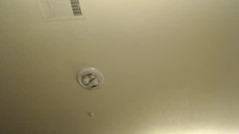 Nikki Mastersgirl1091 online show from March 19, 1:15 pm