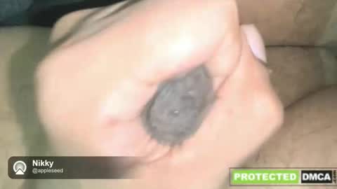 NikkynickGooner online show from December 16, 2:49 am