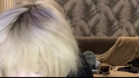 nikoli_naw online show from June 11, 7:45 pm