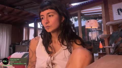 Nina.  online show from November 29, 10:13 pm