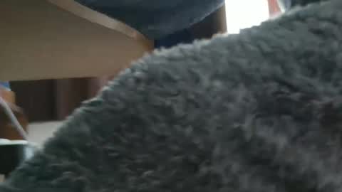 nineinchhard online show from October 20, 9:43 am